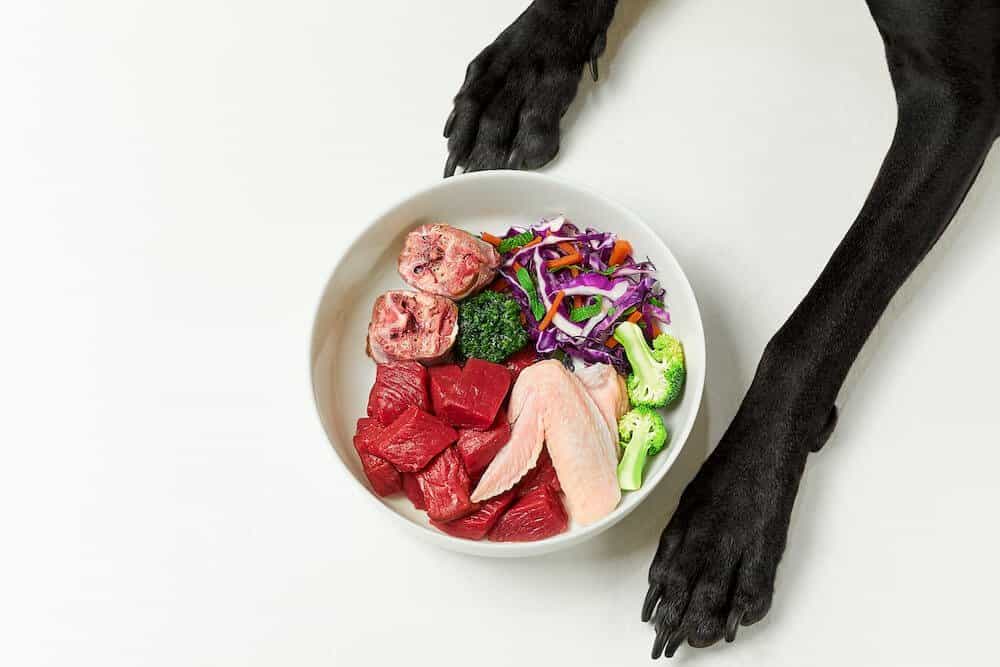 two dog legs laying next to a bowl of raw food