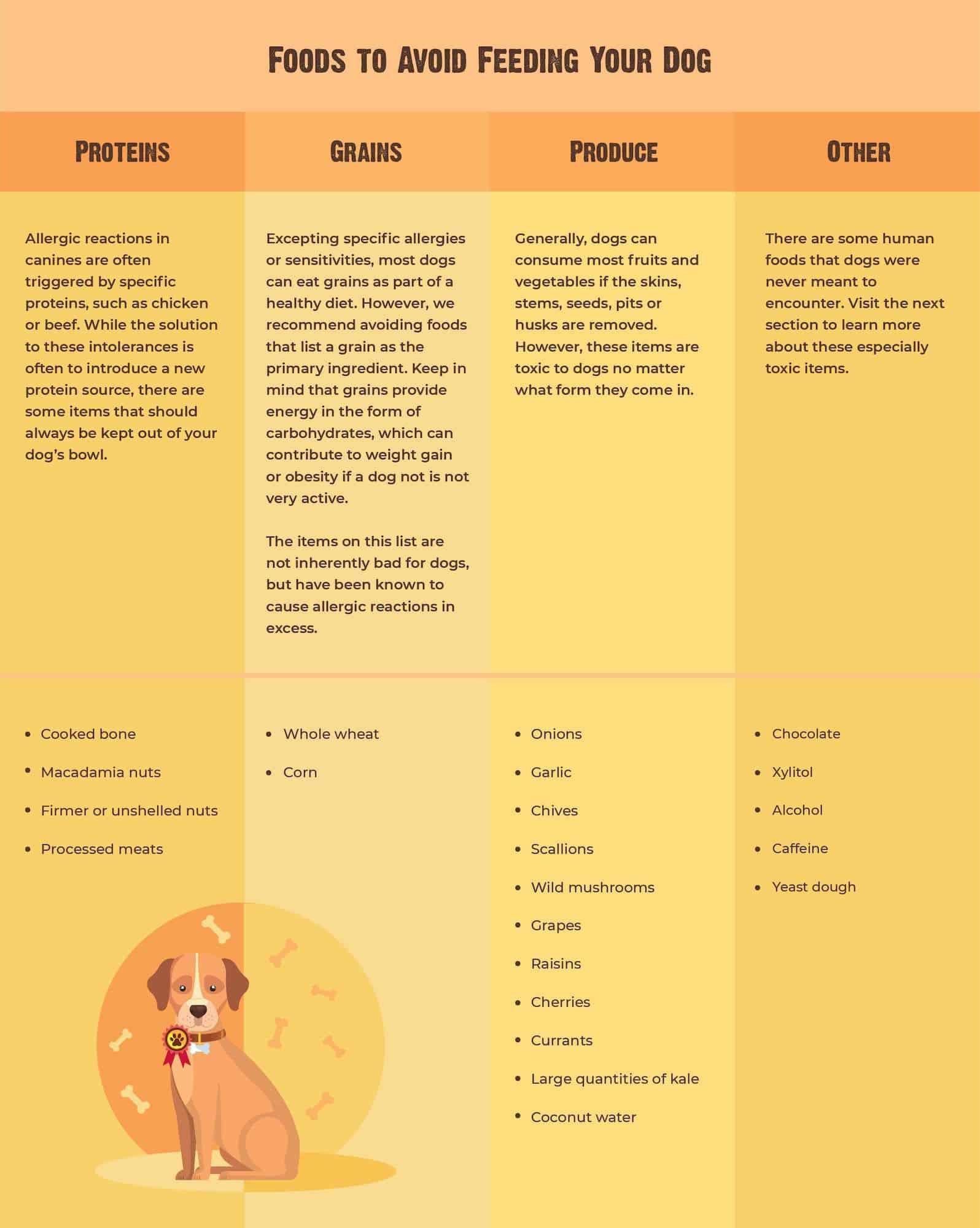 Toxic foods for dogs