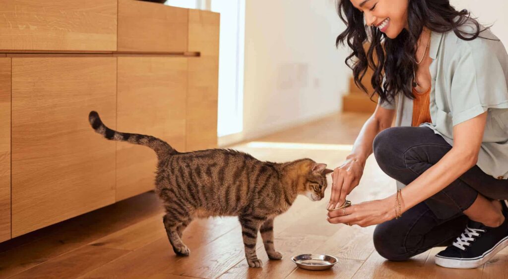young-girl-opening-up-a-can-a-cat-food-for-their-pet.