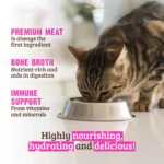 RAWZ_WebsiteCarousel_Cat_Gravy_Salmon&Beef_LIFESTYLE