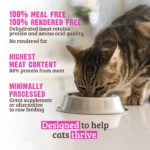 RAWZ_WebsiteCarousel_Cat_Kibble_Chicken&Turkey_LIFESTYLE