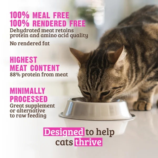 RAWZ_WebsiteCarousel_Cat_Kibble_Chicken&Turkey_LIFESTYLE
