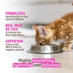 RAWZ_WebsiteCarousel_Cat_Kitten_Beef&BeefLiver_LIFESTYLE
