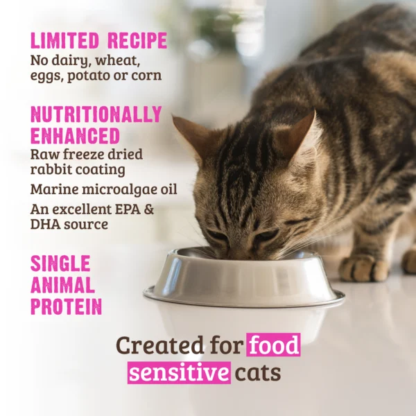 RAWZ_WebsiteCarousel_Cat_LimitedDry_Rabbit_LIFESTYLE