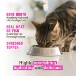 RAWZ_WebsiteCarousel_Cat_SaShi_Tuna&Pumpkin_LIFESTYLE