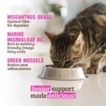 RAWZ_WebsiteCarousel_Cat_Senior_Beef,Pump&Mussels_LIFESTYLE