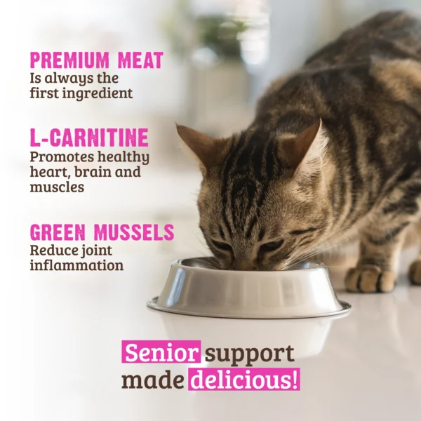 RAWZ_WebsiteCarousel_Cat_Senior_Turkey,Pumpkin&Mussels_LIFESTYLE