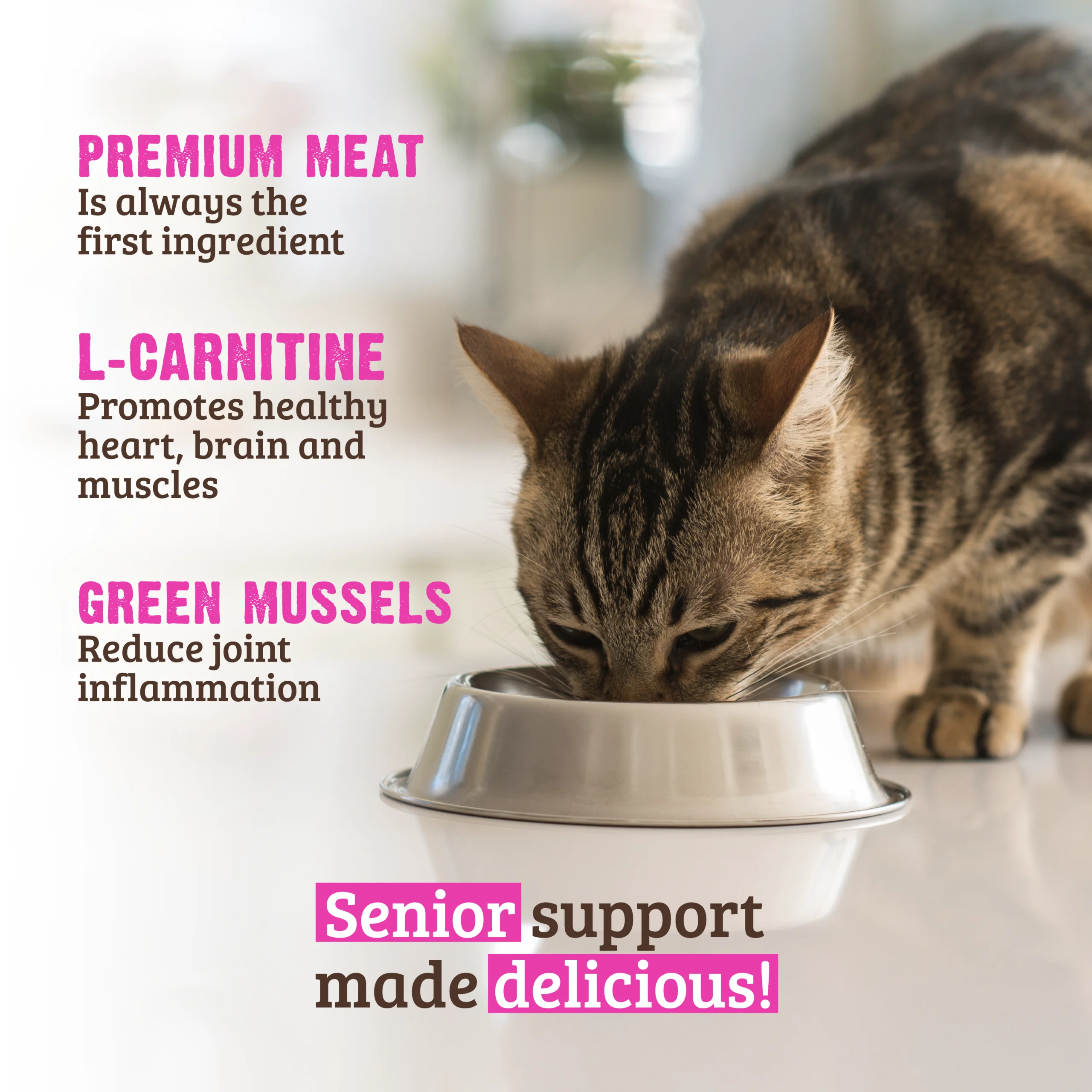 l-carnitine deficiency in cats LiquiCarn 4oz (120mL)