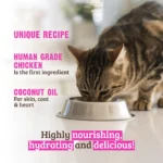 RAWZ_WebsiteCarousel_Cat_ShreddedPouches_Chicken&CoconutOil_LIFESTYLE