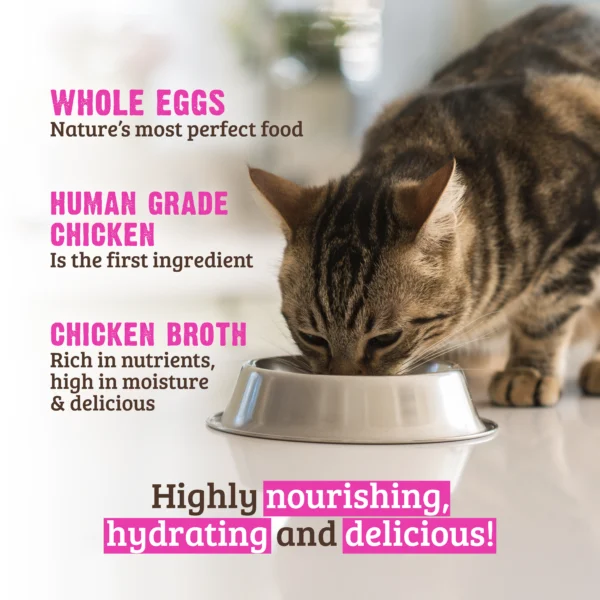 RAWZ_WebsiteCarousel_Cat_ShreddedPouches_Chicken&Egg_LIFESTYLE