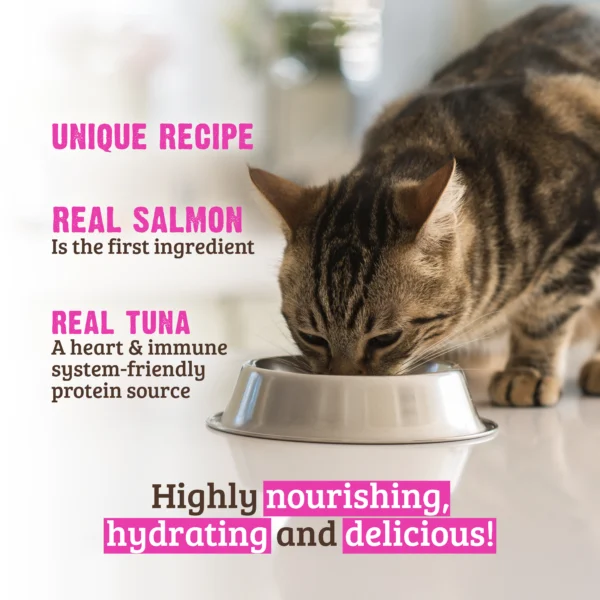 RAWZ_WebsiteCarousel_Cat_ShreddedPouches_Salmon&Tuna_LIFESTYLE