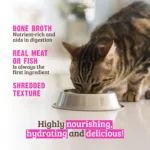 RAWZ_WebsiteCarousel_Cat_Shredded_Chicken_LIFESTYLE