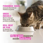 RAWZ_WebsiteCarousel_Cat_Solutions_Chicken&Mussels_LIFESTYLE