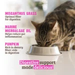 RAWZ_WebsiteCarousel_Cat_Solutions_Chicken,Pork&Pumpkin_LIFESTYLE