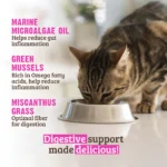 RAWZ_WebsiteCarousel_Cat_Solutions_Rabbit&GreenMussel_LIFESTYLE
