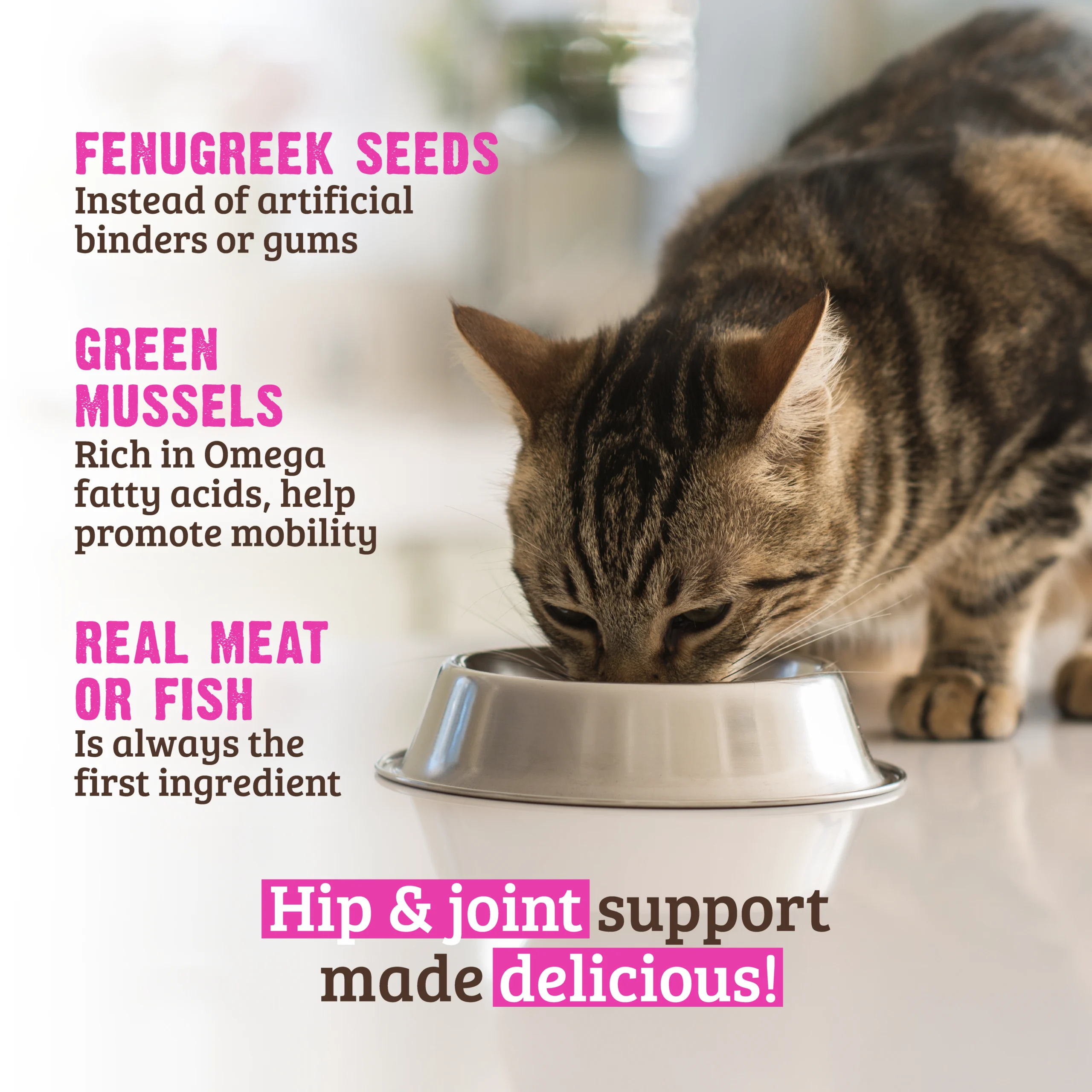 Hip & Joint Support Salmon, Tuna & Green Mussels Cat Food - RAWZ