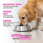 RAWZ_WebsiteCarousel_Dog_Digestive_Pork,Turkey&Pumpkin_LIFESTYLE