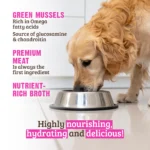 RAWZ_WebsiteCarousel_Dog_Hunks_Chicken&Mussels_LIFESTYLE