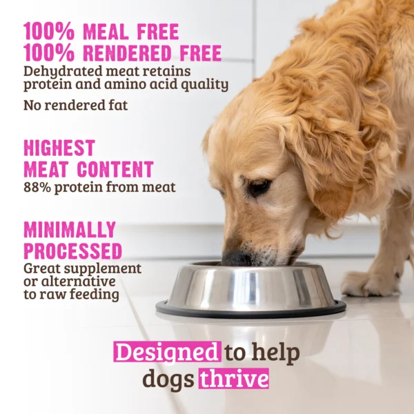 RAWZ_WebsiteCarousel_Dog_Kibble_Chicken&Turkey_LIFESTYLE