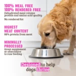 RAWZ_WebsiteCarousel_Dog_Kibble_Salmon&Chicken_LIFESTYLE