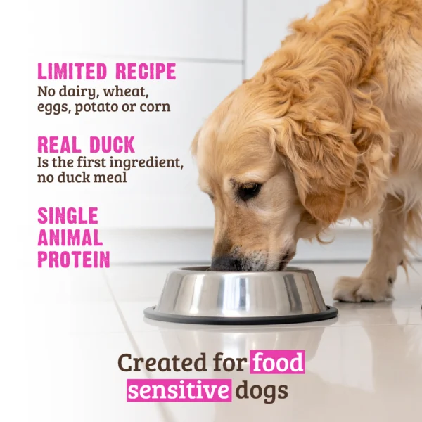 RAWZ_WebsiteCarousel_Dog_LTDKibble_Duck_LIFESTYLE