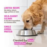 RAWZ_WebsiteCarousel_Dog_LTDKibble_Salmon_LIFESTYLE