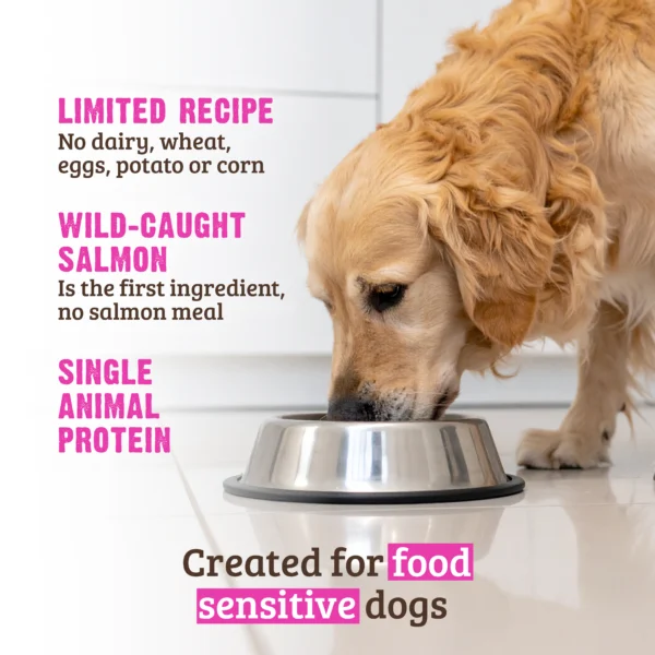 RAWZ_WebsiteCarousel_Dog_LTDKibble_Salmon_LIFESTYLE