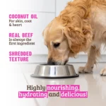 RAWZ_WebsiteCarousel_Dog_Shreds_Beef&Salmon_LIFESTYLE