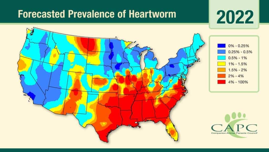 CAPC Forecasted prevalence of heartworm