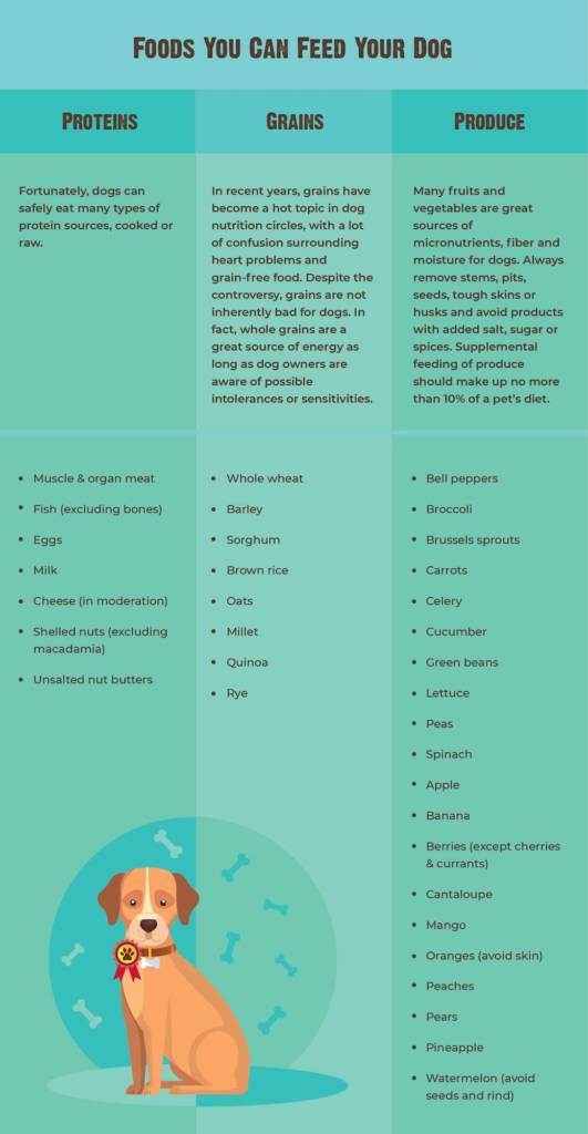 Human Foods Dogs Can and Can t Eat with Chart