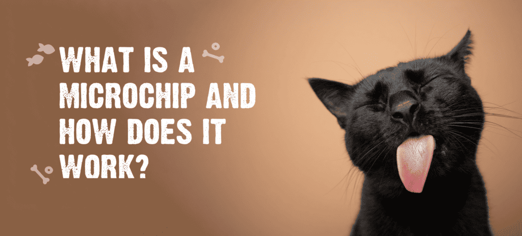 What Is a Microchip & How Does It Work?