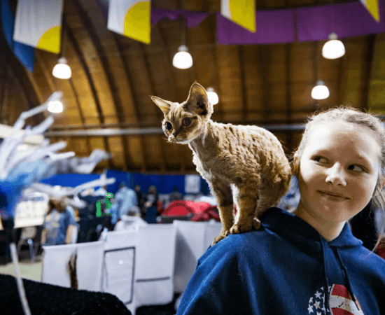 A young girl in a blue sweatshirt smiles while looking sideways at a curly-haired brown cat perched on her shoulder like a parrot. There are booths and cat cages visible behind them.