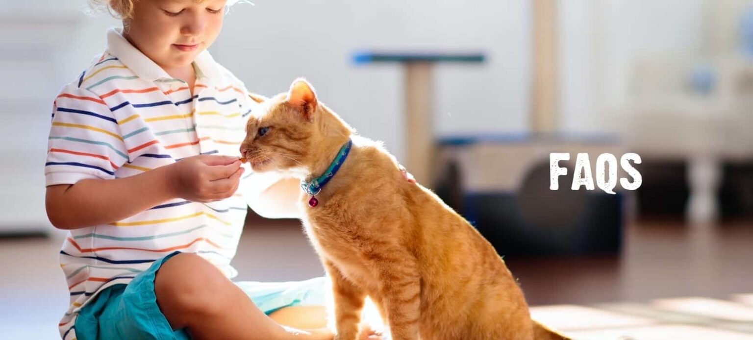 Understanding Your Cat’s Digestive System & Gut Health Tips