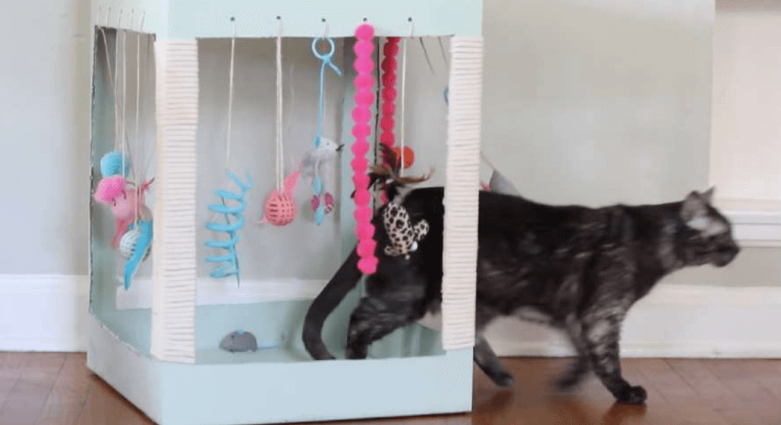 Diy-cat-toys-to-keep-them-busy