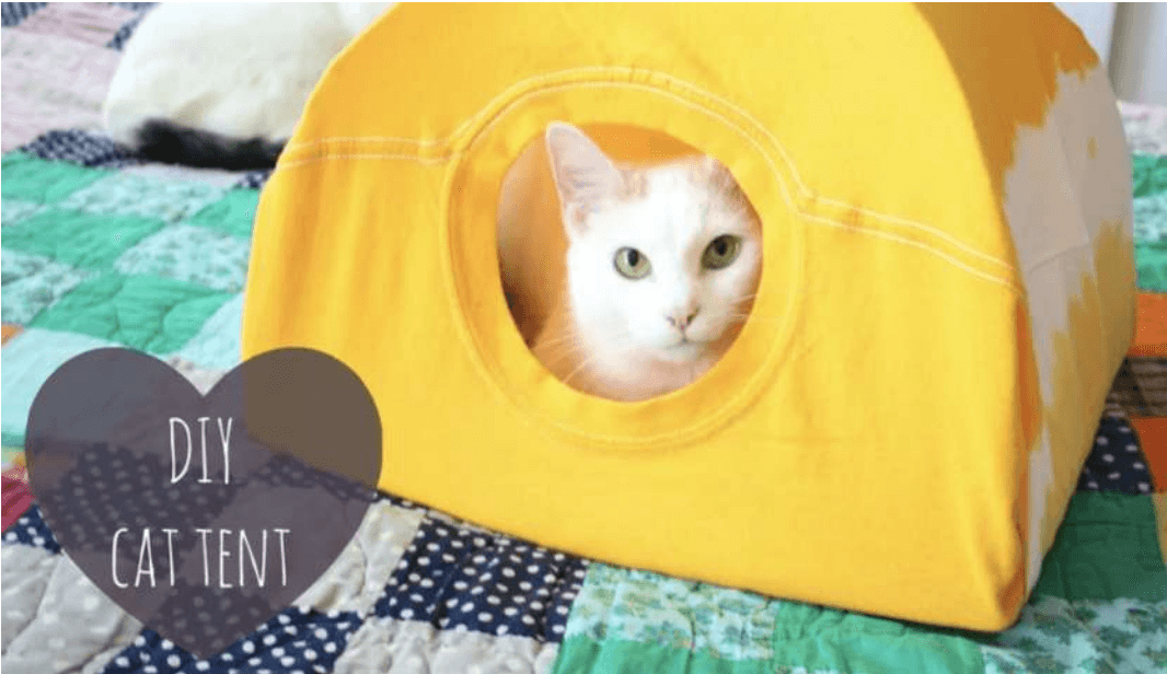 Diy-cat-tunnel