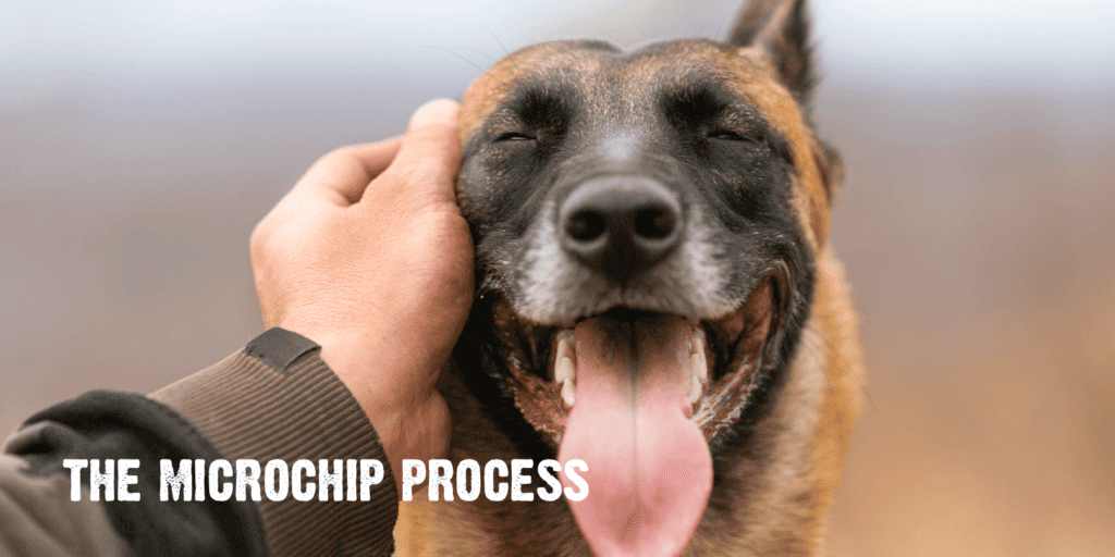The Microchip Process