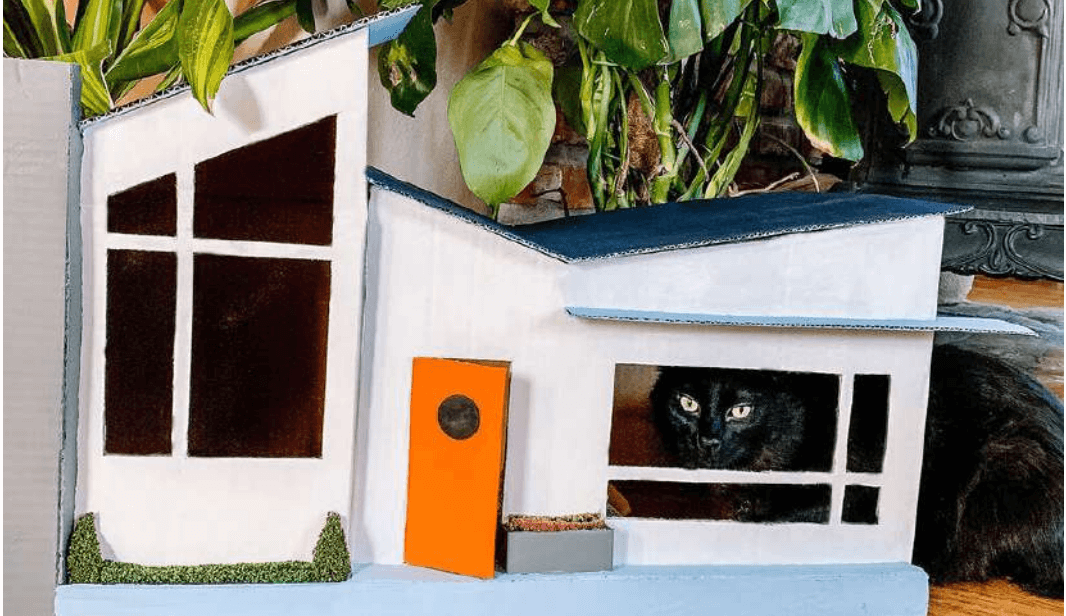 How to Make an Incredibly Simple DIY Cat Puzzle Toy - Staying Close To Home