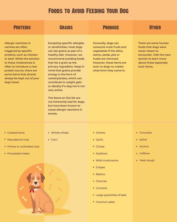 Human Foods Dogs Can And Can t Eat with Chart 