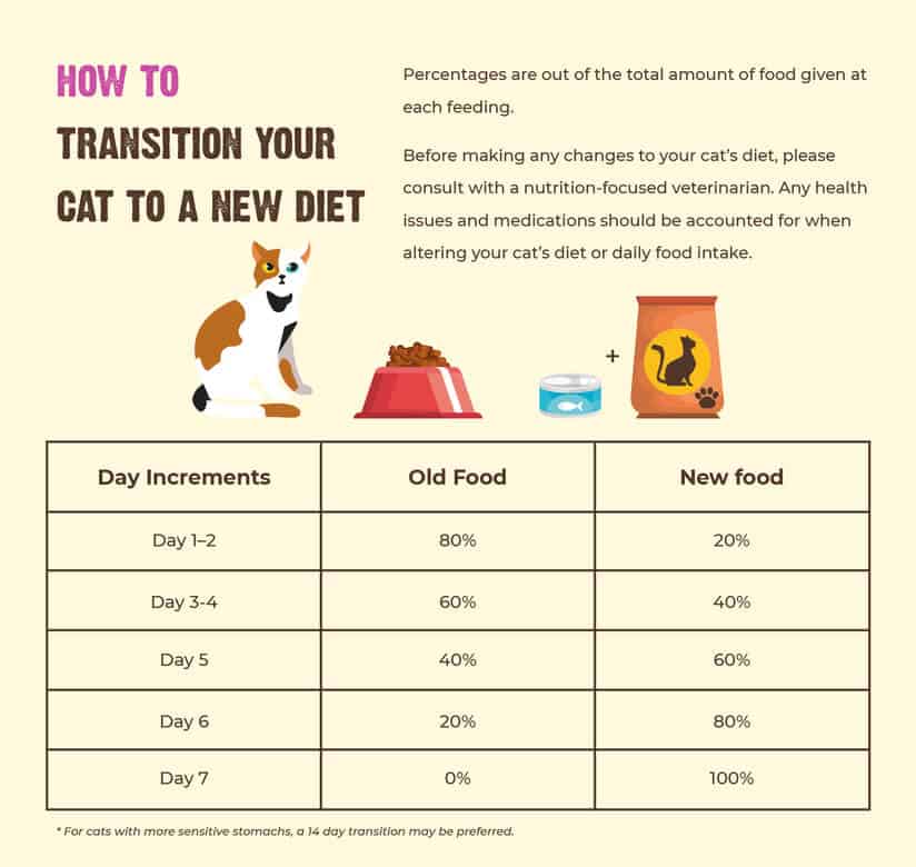 Food to make cat gain weight best sale