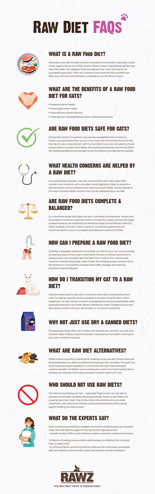 Should You Feed Your Cat a Raw Diet 11 Questions to Ask First RAWZ