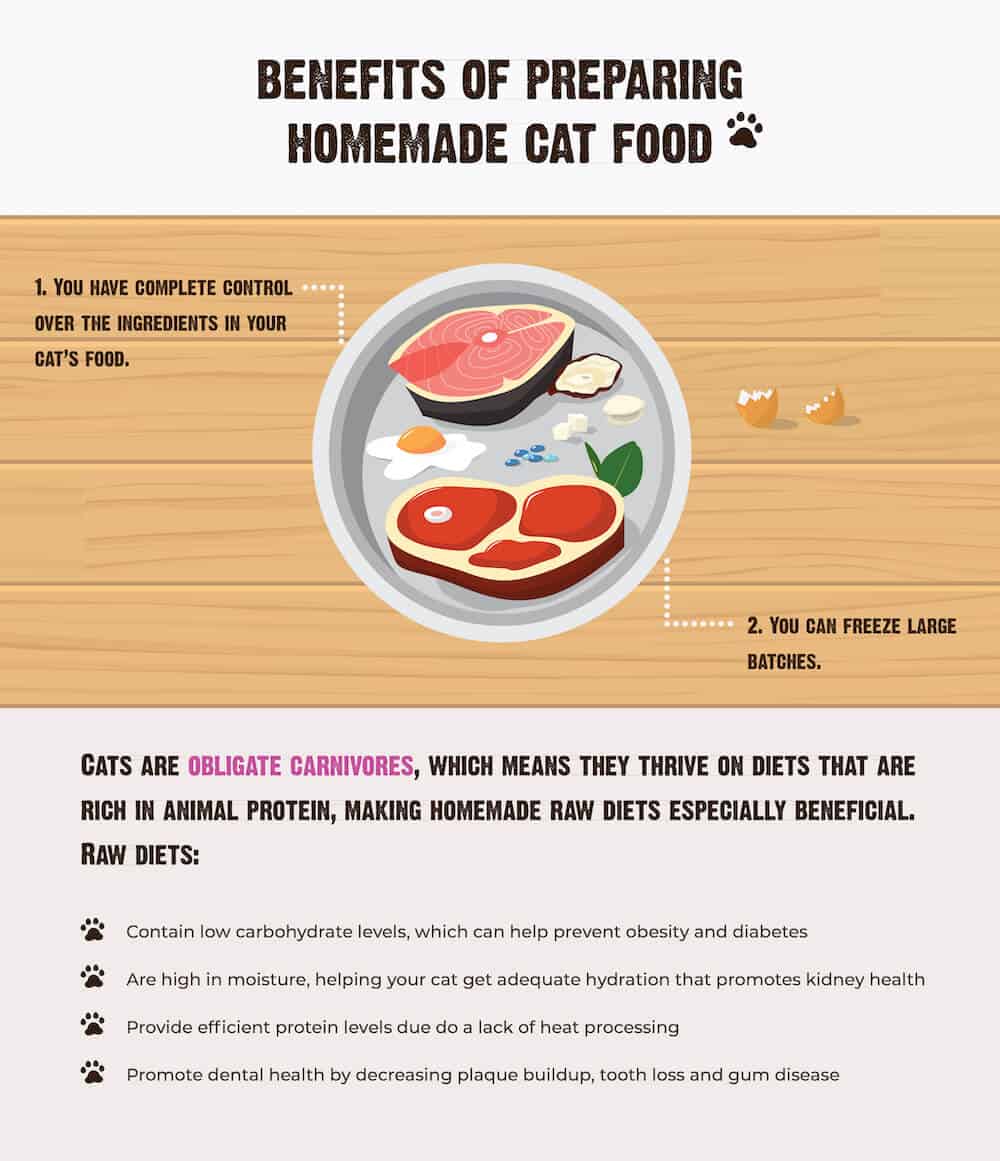 Graphic of the benefits of homemade cat food