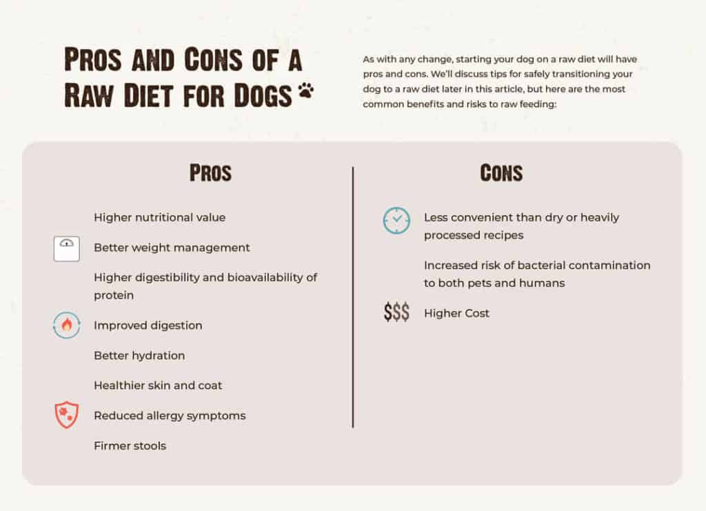 How to Start a Raw Diet For Dogs | RAWZ Natural Pet Food