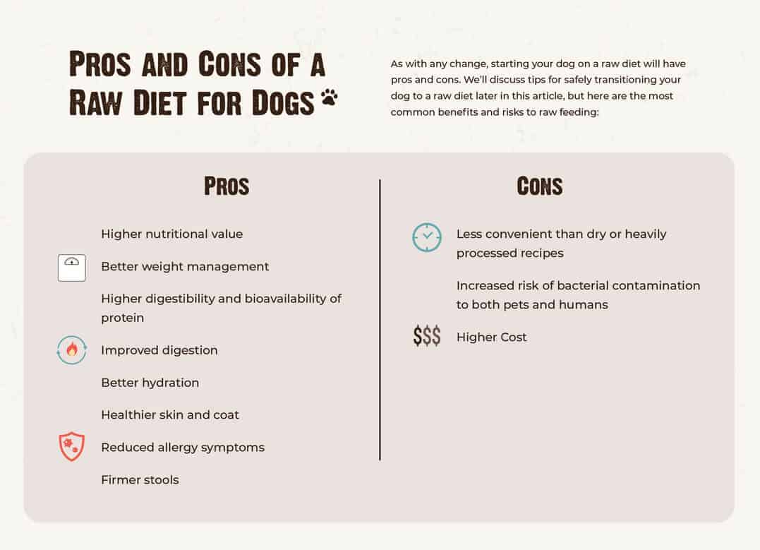 Infographic of pros and cons of raw diet for dogs