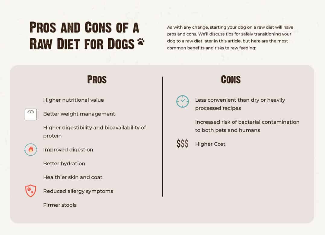 Cost of raw outlet food diet for dogs