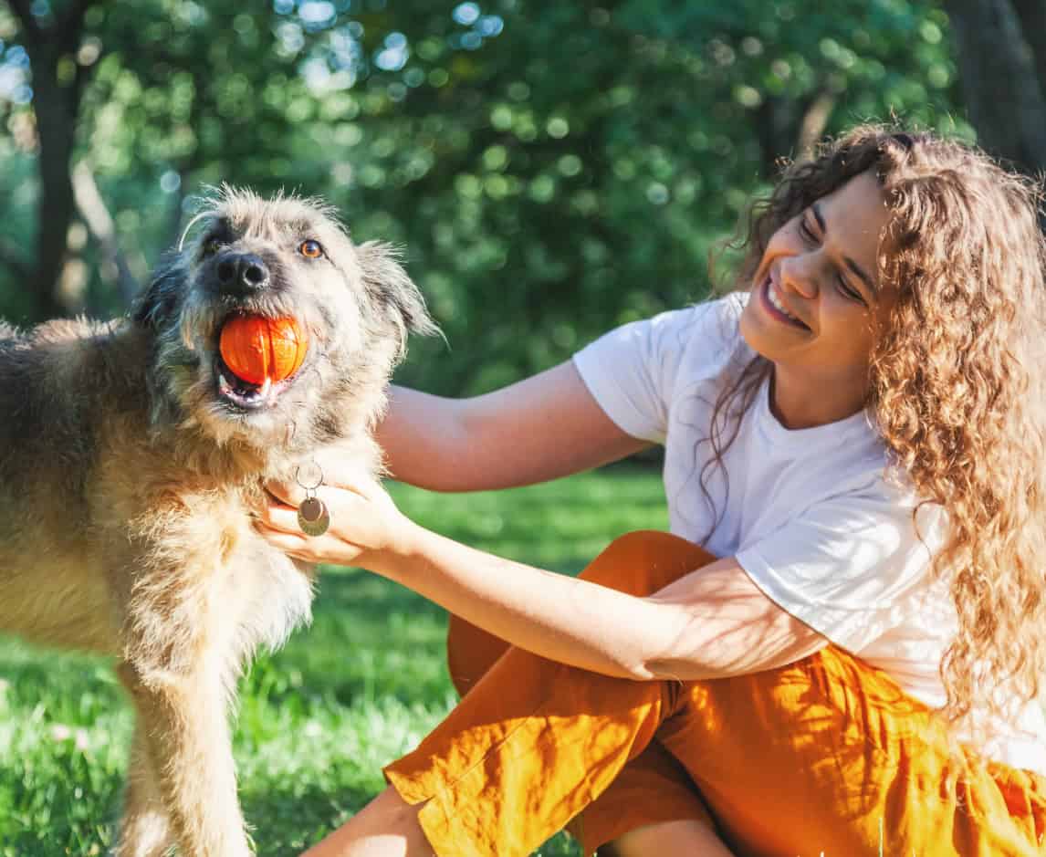 golden dog with red ball in mouth playing in park with woman.