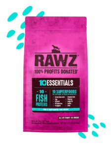 RAWZ BlogImage Sept14 Minnows copy