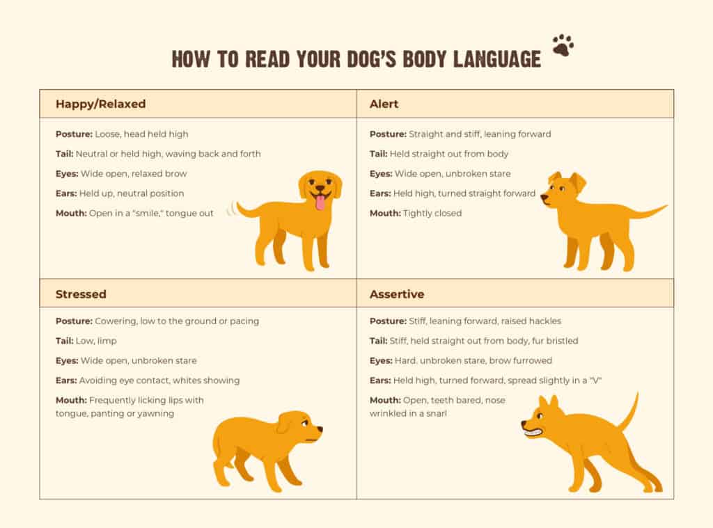 body language chart