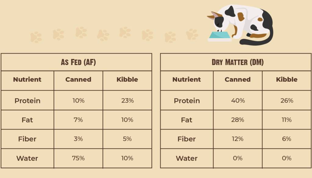 how-to-choose-the-best-kitten-food