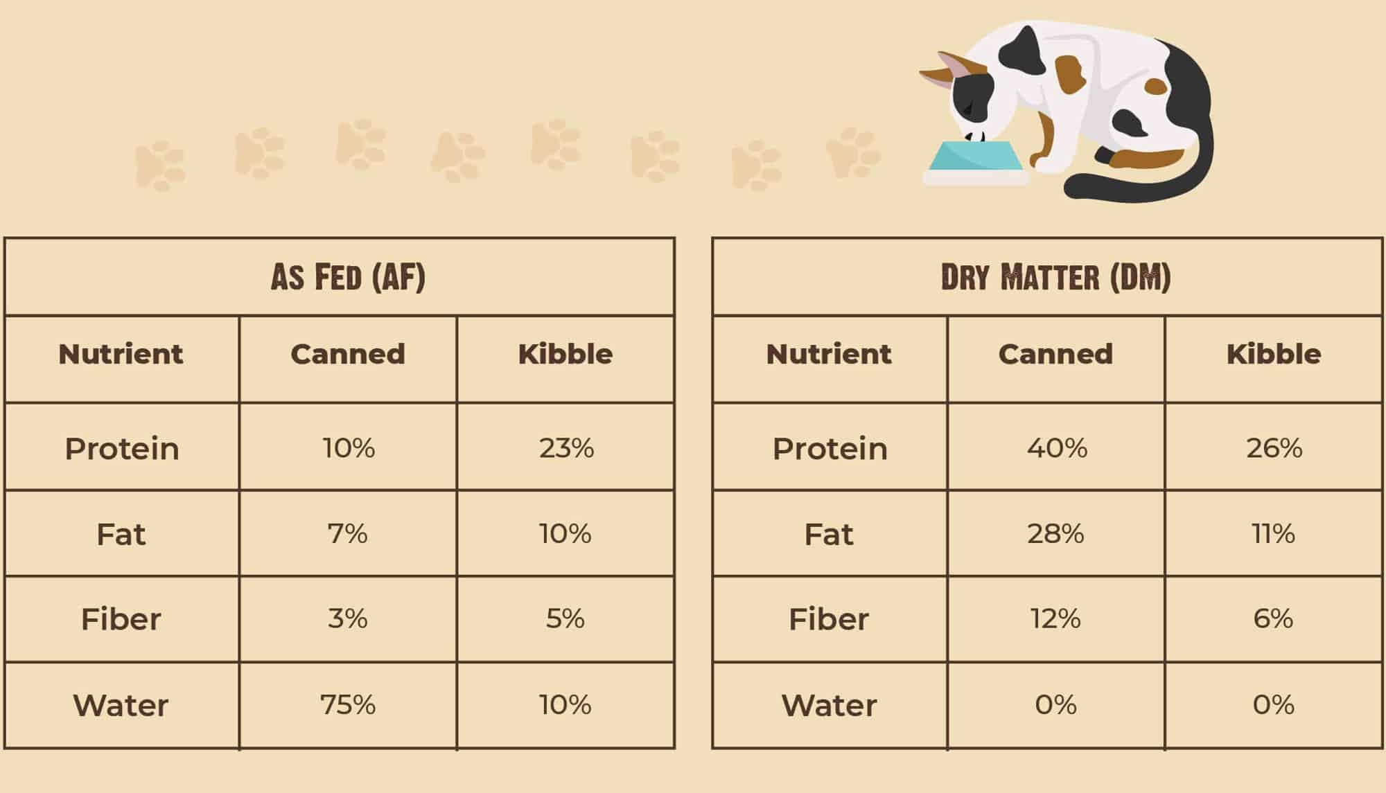 How much to 2025 feed a kitten chart