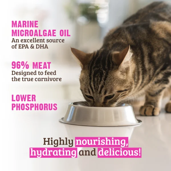 Restricted Diet Low Phosphorus Wet Cat Food Chart Lower Phosphorus Turkey Canned  Cat Food RAWZ